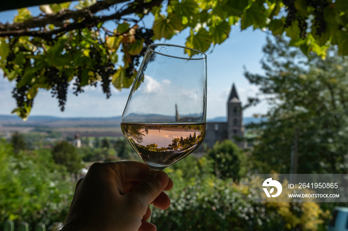 在Etyek葡萄酒产区的Zsambek Hungar品尝一杯玫瑰酒。在后台