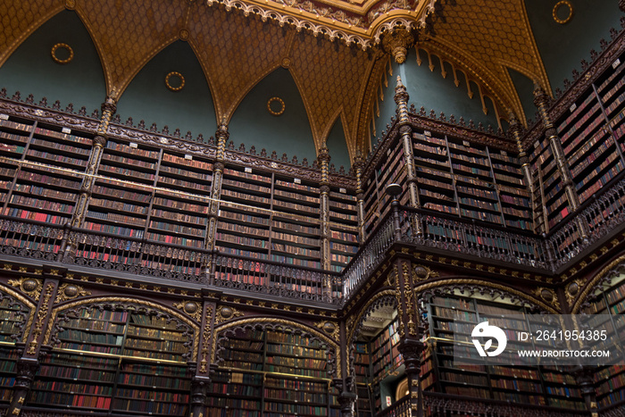 Beautiful Decorated Shelves Full of Antique Books