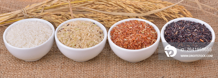 健康水稻品种