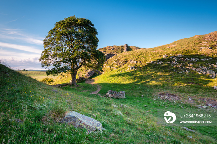 哈德良长城上的Sycamore Gap/哈德良长城是美丽的诺森伯伯的世界遗产