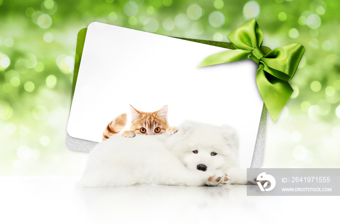 merry christmas signboard or gift card for pet shop or vet clinic, white dog and ginger cat pets iso