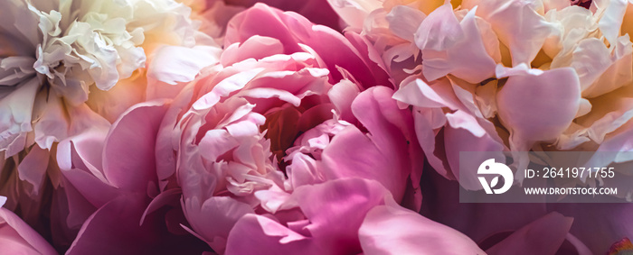 粉色牡丹花作为花卉艺术背景，植物平面和奢侈品牌设计