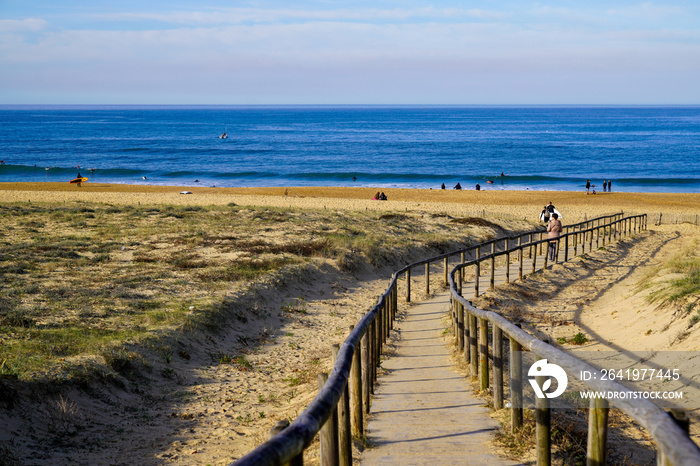 Beach access wooden pathway of atlantic sea in sand dunes with ocean in Hossegor France southwest