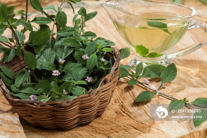 Lippia alba - Fresh leaves of soon relief medicinal plant.