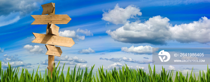 image of wooden signposts against the sky