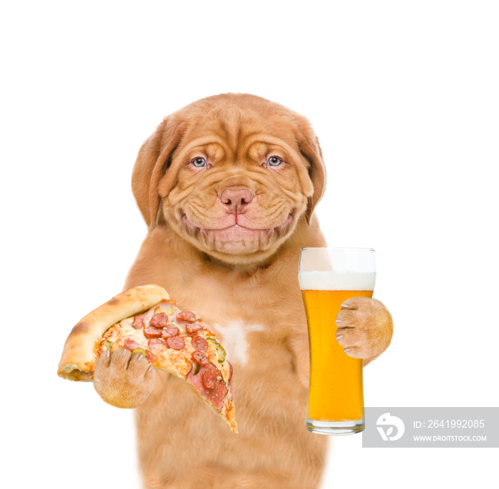Smiling puppy holding pizza and a glass of the beer. isolated on white background