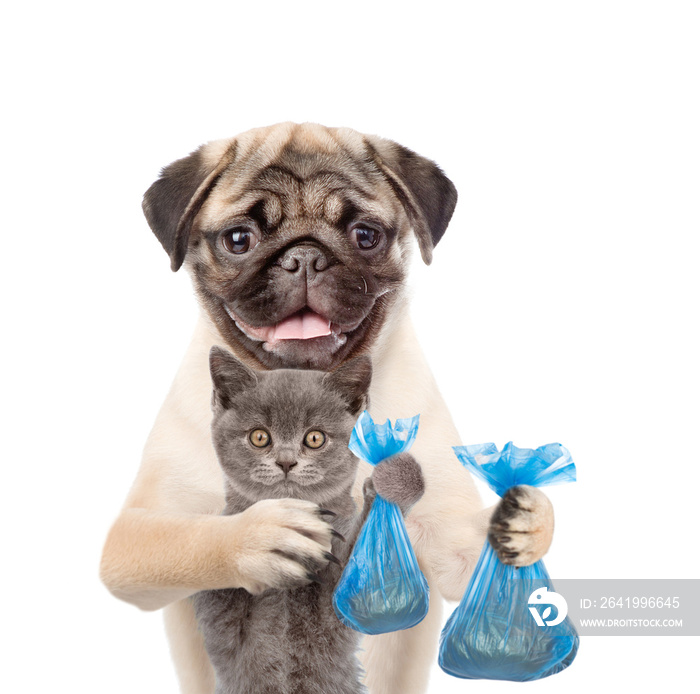 Pug小狗和小猫拿着塑料袋。清理狗粪的概念。隔离在白色背上。