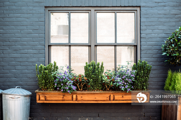 Beautiful windows with flowers on a black facade house