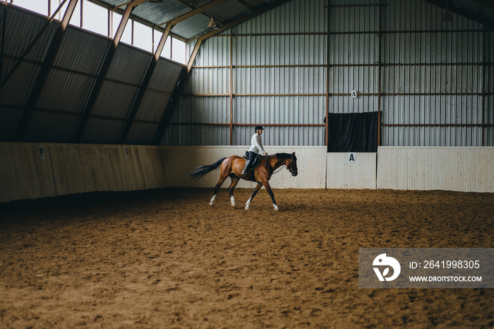 A girl on horseback riding an arena