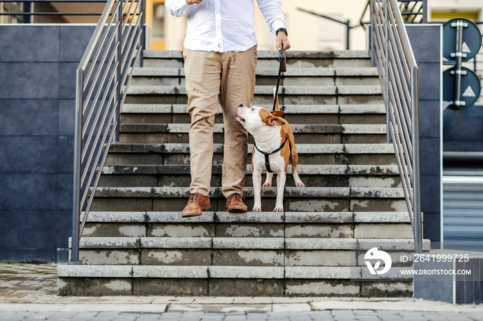 A man walking his dog in an urban exterior