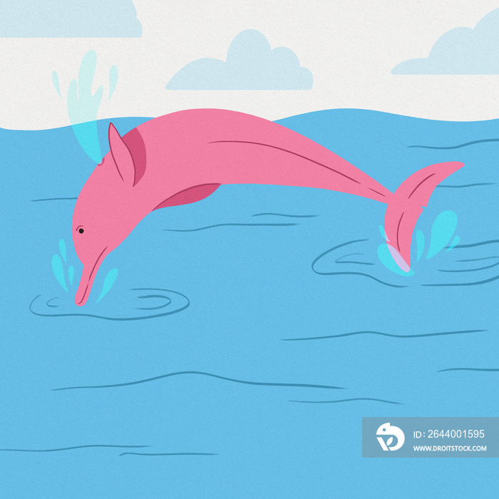 boto cor de rosa  pink dolphin blue water white sky