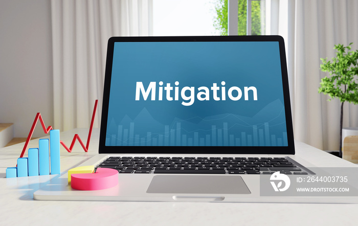 Mitigation – Statistics/Business. Laptop in the office with term on the display. Finance/Economics.