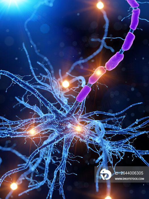 3d rendered medically accurate illustration of an active human nerve cell