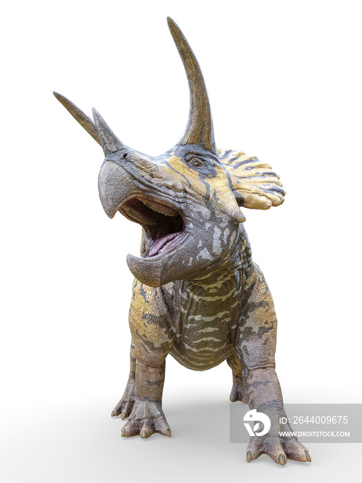 triceratops standing up on white background