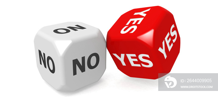 Dice with yes and no word