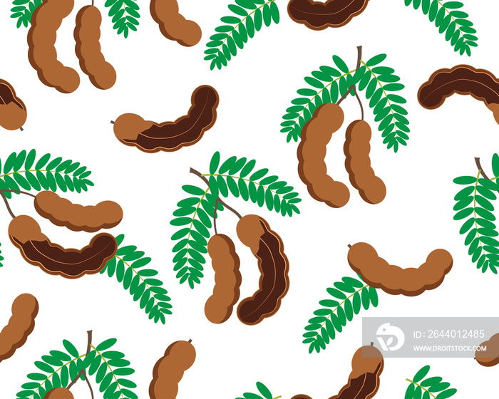 Seamless pattern of tamarind fruit isolated on white background - Vector illustration