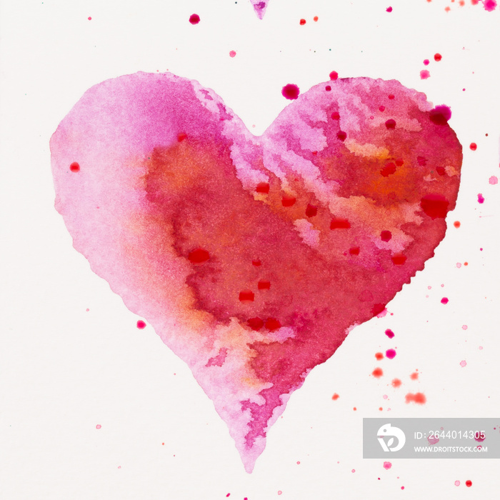 Watercolor painted pink heart, on the white watercolor paper.