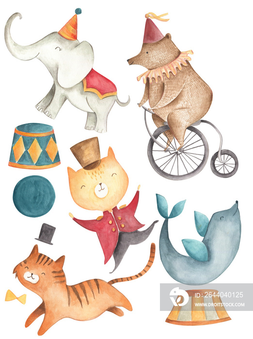 Circus Watercolor Illustration Elephant bear tiger seal cat