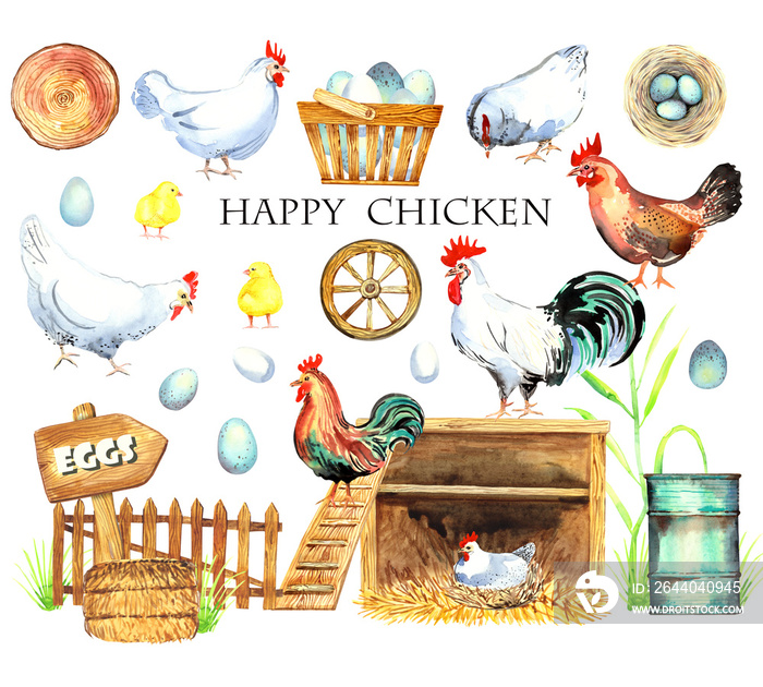 快乐的鸡剪贴画。农场动物，公鸡，母鸡，生物蛋，厨师，鸡，巢，生态村。Isolat