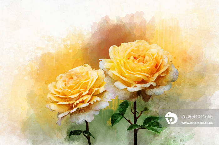 A watercolor drawing of a vibrant yellow rose flowers. Botanical art. Decorative element for a greet