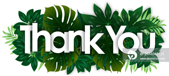 Thank you word and green tropical’s leaves background