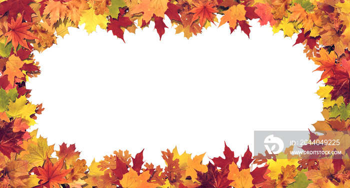 Autumn leaves on white background 3D Rendering