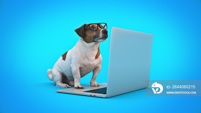 使用笔记本电脑的商业概念宠物狗。三维渲染