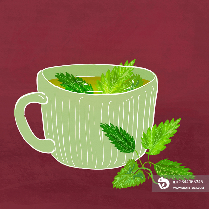 peruvian mint tea illustration