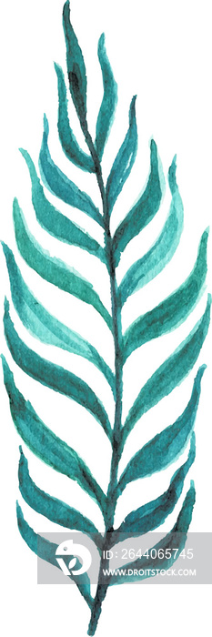 Leaf Watercolor illustration