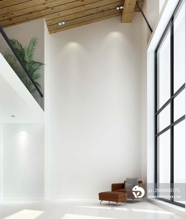 现代热带客厅与白墙图案背景的双空间室内设计