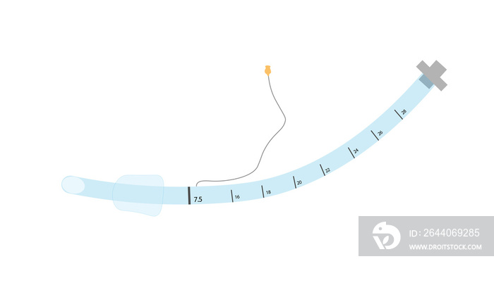 Endotracheal tube ilustration. Adult tube (7.5) for mechanical ventilation.