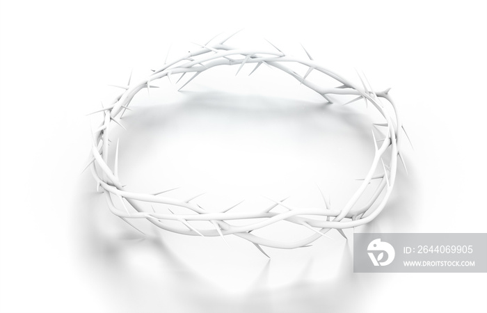 Crown Of Thorns White