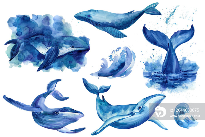 set of underwater animals, whale on a white isolated background.  Watercolor hand drawn painting ill