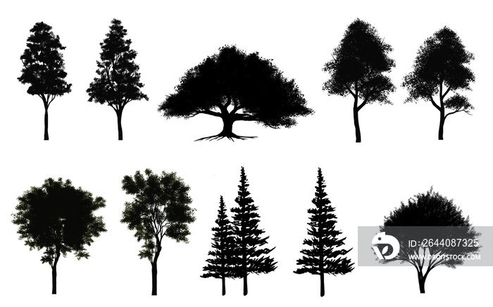 Collection of abstract shadow tree side view isolated on white background  for landscape and archite