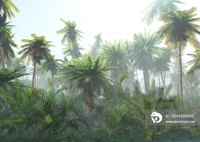雾中的热带丛林。清晨的棕榈树。