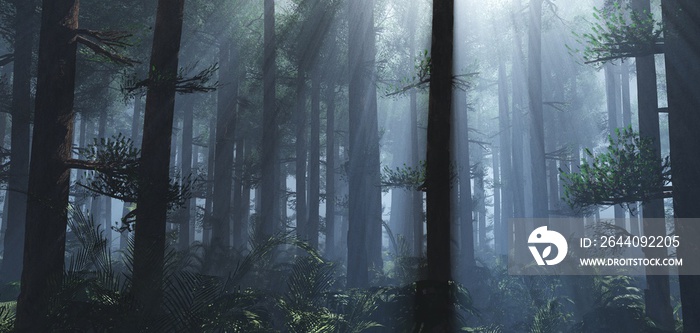 Trees in the fog. The smoke in the forest in the morning. A misty morning among the trees. 3D render