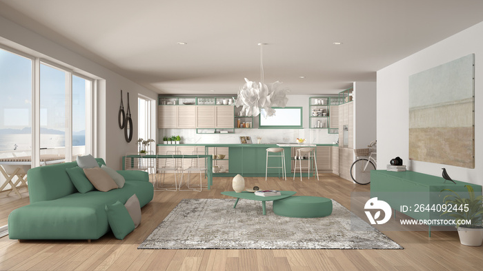 阁楼客厅和厨房室内设计，带沙发和地毯的休息室，餐桌，岛