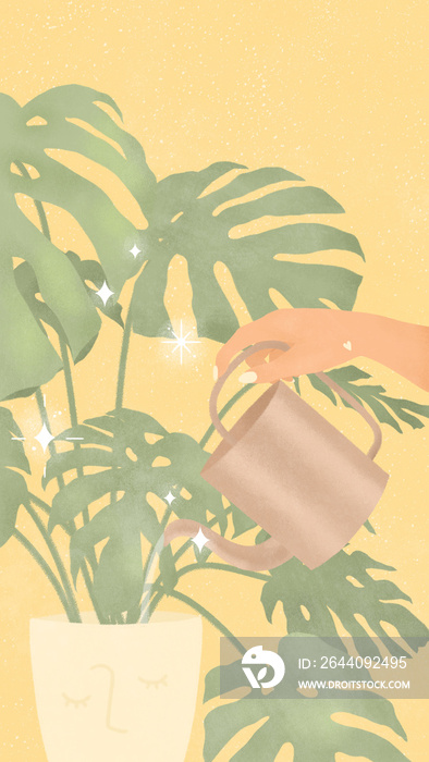 用手浇灌一株美丽的蒙斯特拉植物，它有闪闪发光的星星