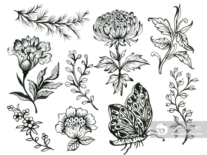 Black and White outline elements Floral plants on white Design for home decor, fabric, carpet, wrapp