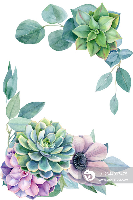 greeting card, eucalyptus leaves, succulent echeveria, cactus, light pink anemone flower, watercolor