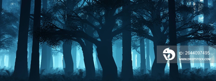 Trees in the fog, morning in the forest, haze and trees