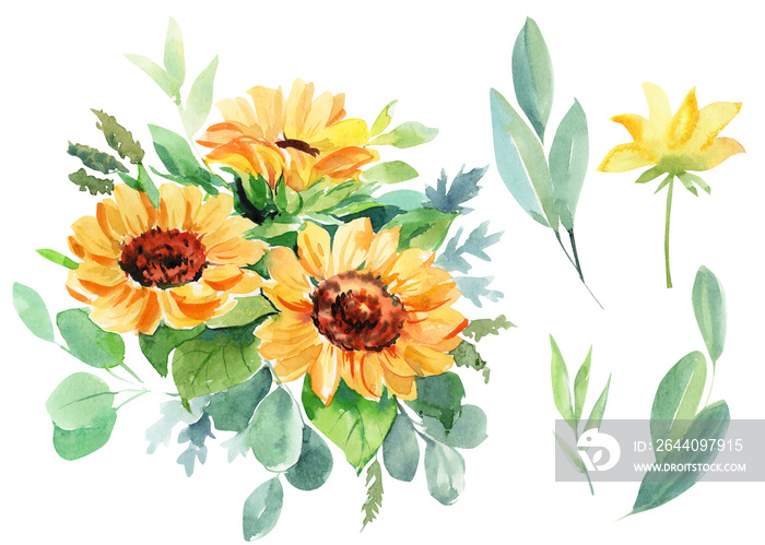 向日葵和桉树的美丽花束，水彩插图，手绘