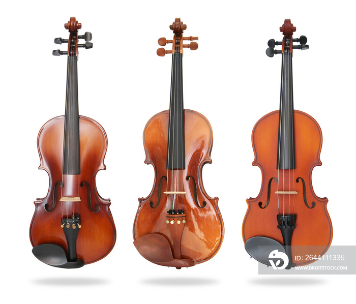 Set of violin isolated on white background