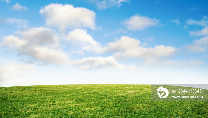 grass and sky