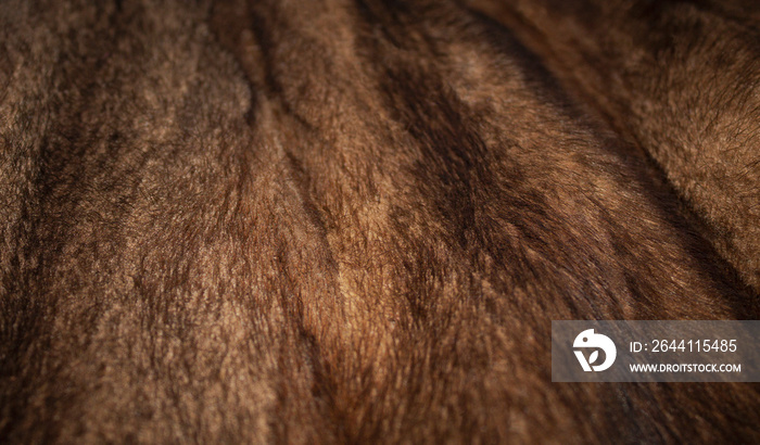 Natural fur mink brown. Close-up, texture