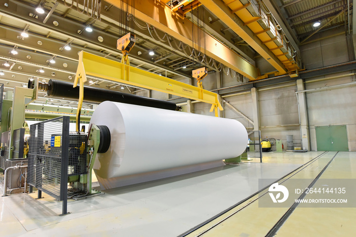 paper mill: production of paper rolls for the printing industry - paper rolls in a factory