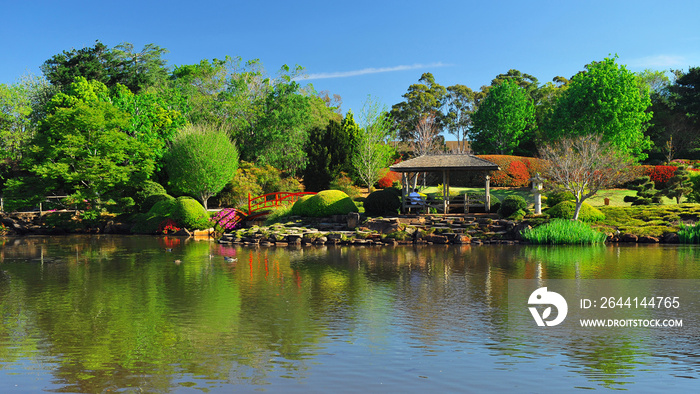 Toowoomba植物园的日本花园