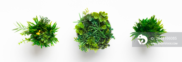 Artificial grassy plants in pots on white background