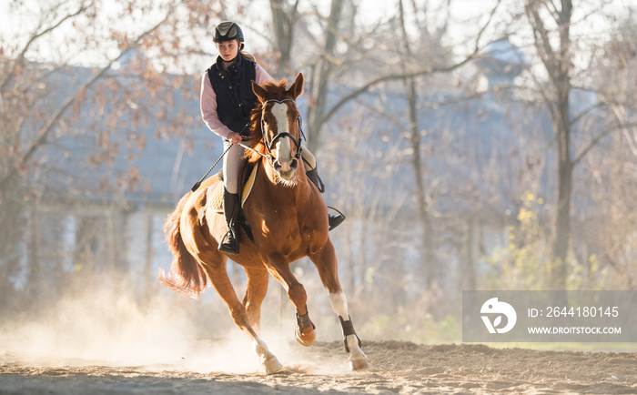 Young girl riding a horse