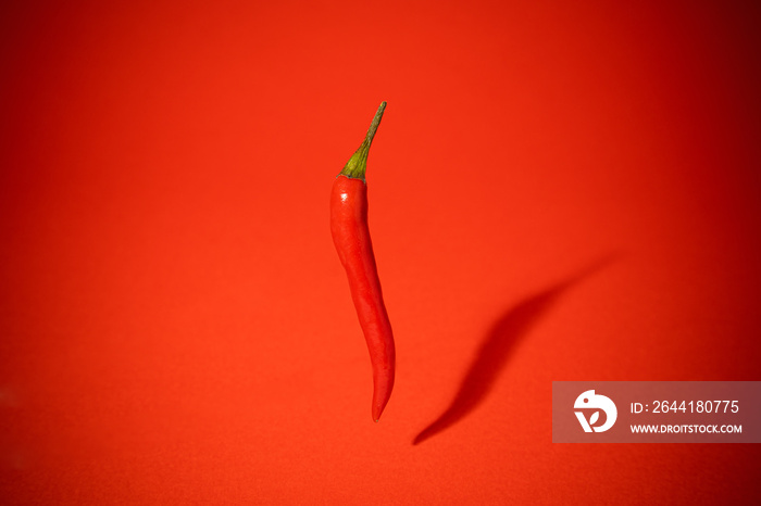 hot red chili, on red background